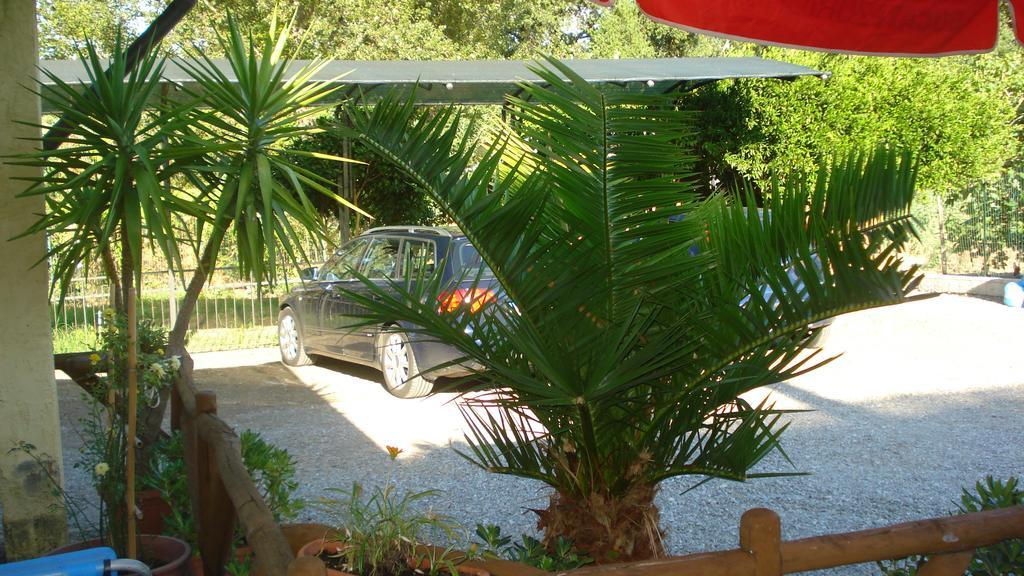Casa Vacanze Rosy "Nel Verde" Palinuro Exterior foto